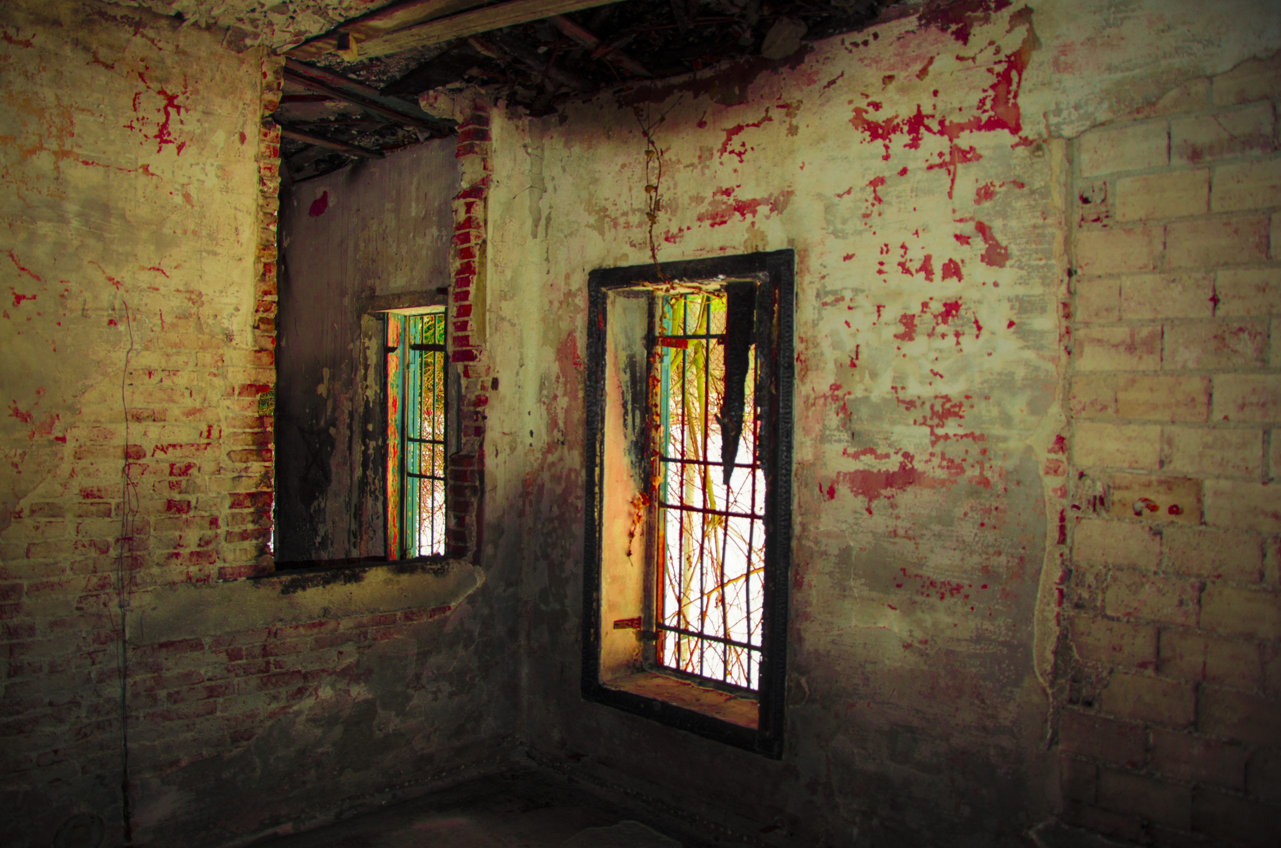 Scopri di più sull'articolo BlaCk-oUt